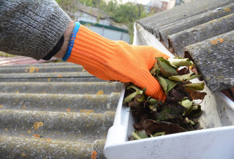 Close-up of Gutter Debris